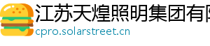 江苏天煌照明集团有限公司